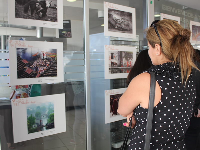 El IC UST tiene diversas actividades como cursos, talleres y exposiciones para el verano.