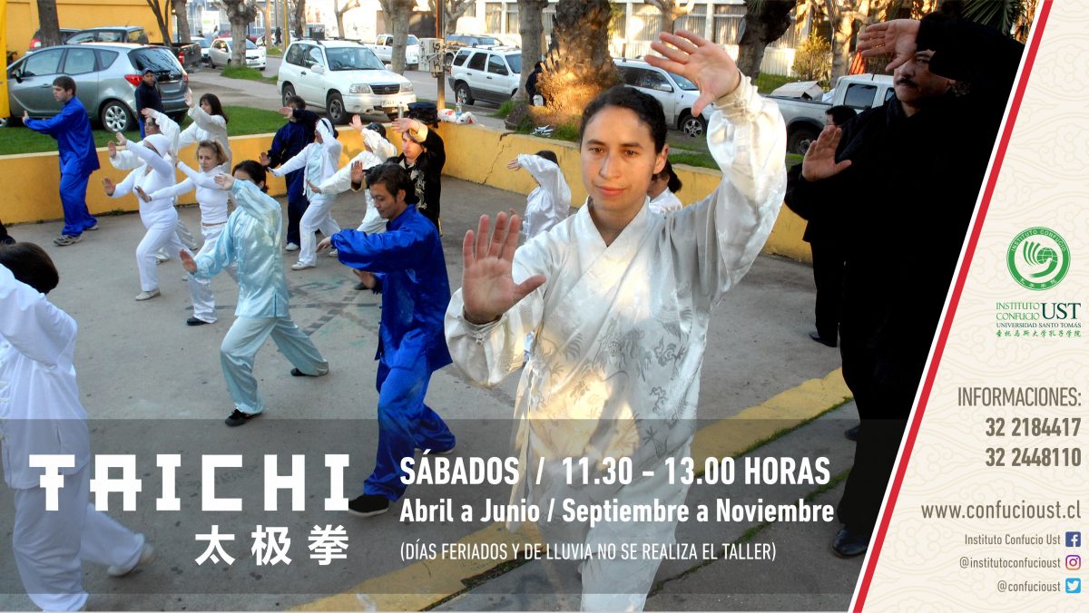 taichi en viña